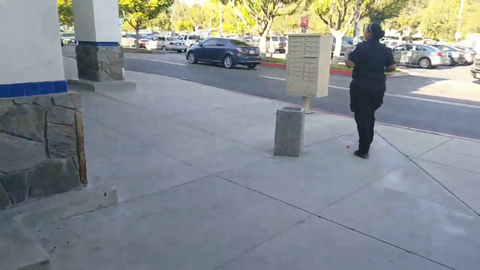 Shocker. "Hampton" Brandon has been arrested.