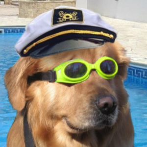 TheSailor