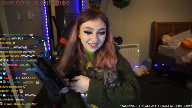 Minx cat is infectious