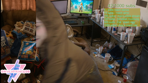 Ppl are actually subscribing to a roach living in Asmongold's room...?
