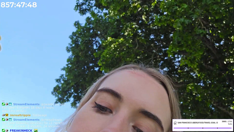 Acorn falls on Emilycc’s head