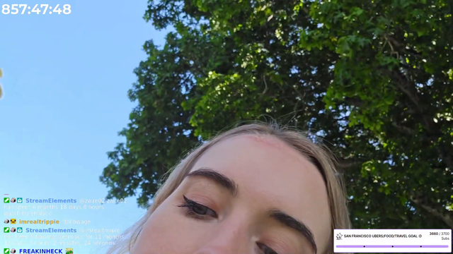 Acorn falls on Emilycc’s head