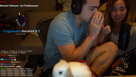 Rabbit Will be Partnered Before Slicker