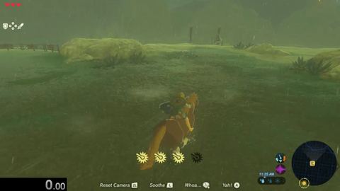 ZFG learns how to ride a horse in BOTW