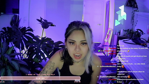 Streamers calls out Trainwreckstv on his streaming habits