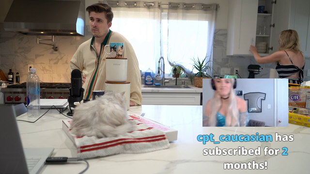 QT's cat gets scared from a fork