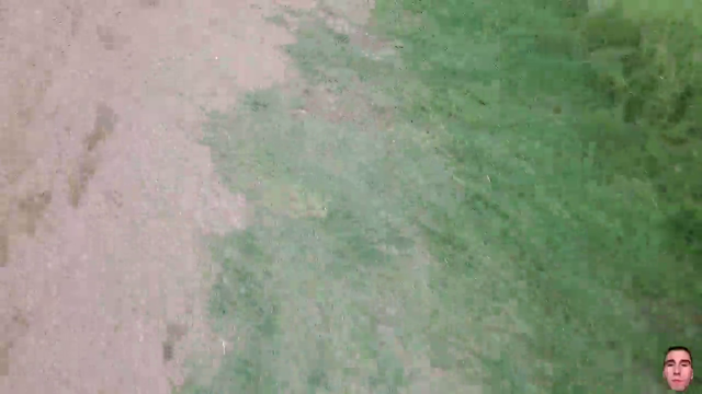 A Wild Poke Appears