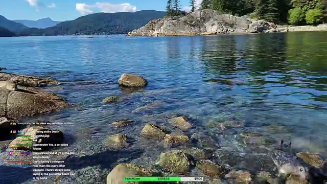 wild seal appears