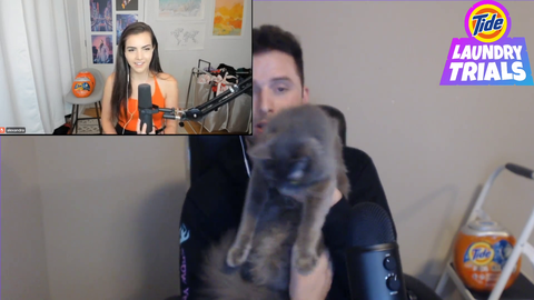 What Alex thinks of pets when they see them