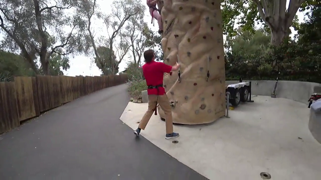Hachubby can go up but not down