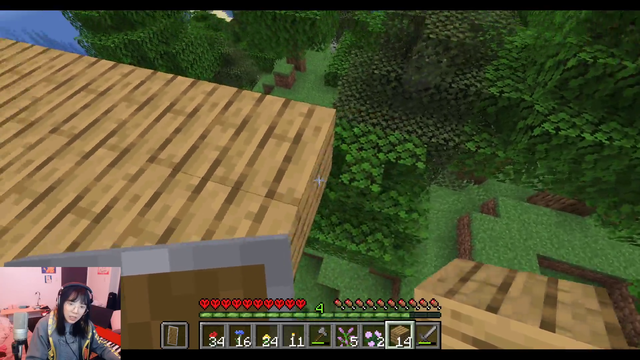 Amazing precision work in Minecraft hardcore mode