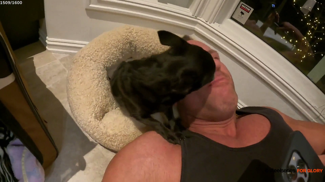Knut attacked by his dog