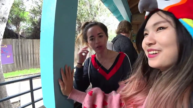 HAchubby answering Maya's question