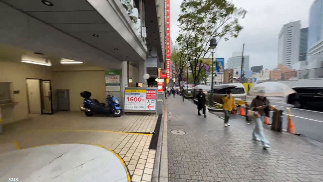 Russian Streamer gets attacked by Japanese Local