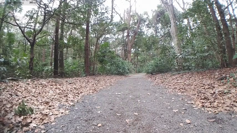 When Anime Goes Too Far IRL