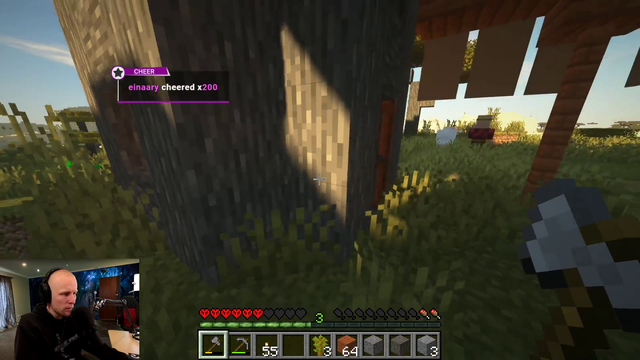 Quin asks the Iron Golem for assistance