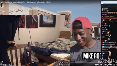 a wild XQC appeared