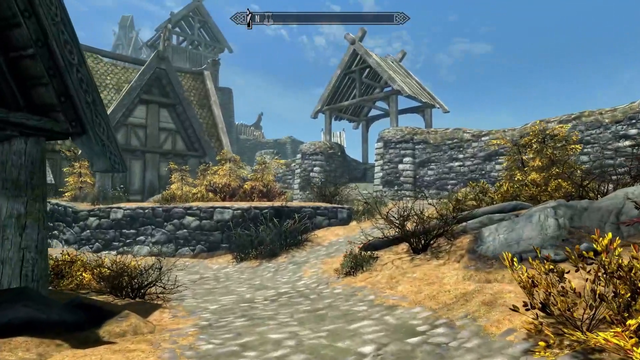 Skyrim mods are becoming "interesting"