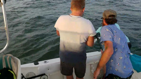 GUY FISH A FUCKING SHARK