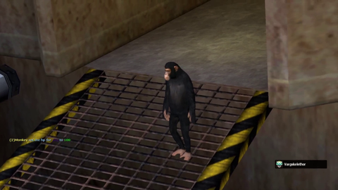 Joel witnesses a monkey's death