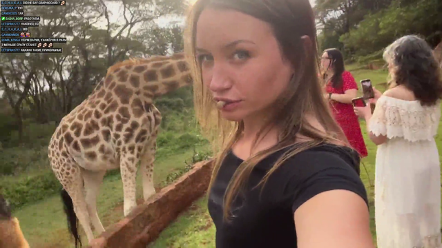 Hungry Giraffe