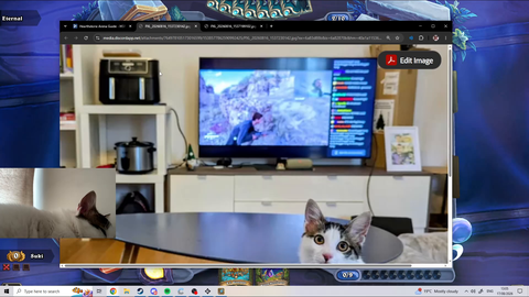 Vadikus shows the cat he saved from Forsen's asylum