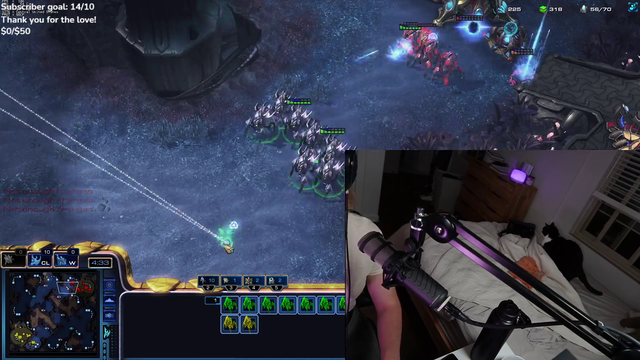 Nina’s cat does her work on stream holy poop