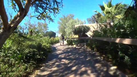 Mizkif randomly falls.