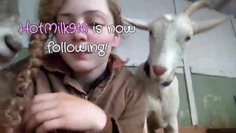 Goat girl is bilingual