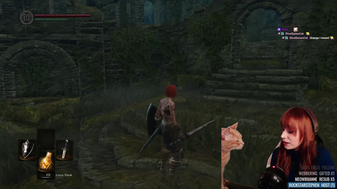 Cat "viciously" attacks Streamer's face