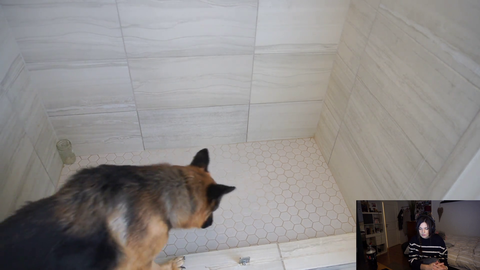 soda's dog knows how to shower
