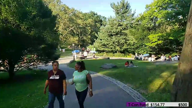 Dude in NYC tries to steal streamer's phone