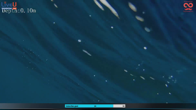 Awkwards_Travel successfully films their first stream diving using an underwater drone camera
