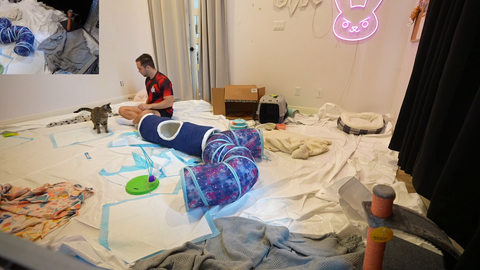 Mizkif helps his foster paralyzed cat pee