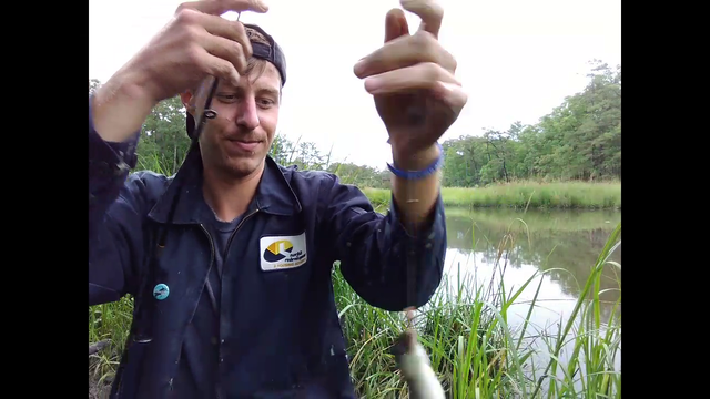 Dude catches an eel while fishing