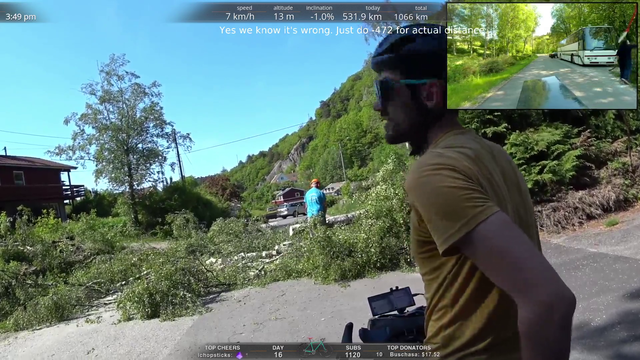 Hitch - Sidequest: clear the road from fallen tree