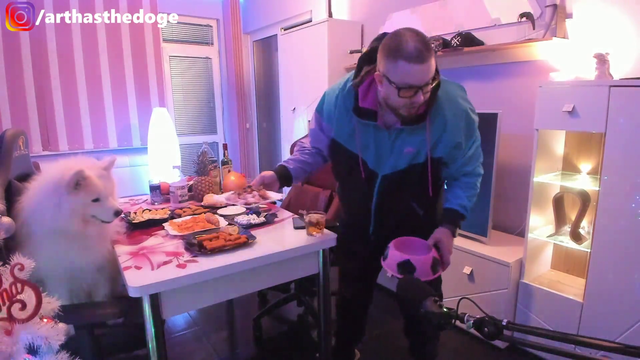 Dog shows manners on stream