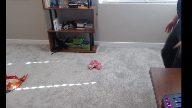 Jerma streams his dog!
