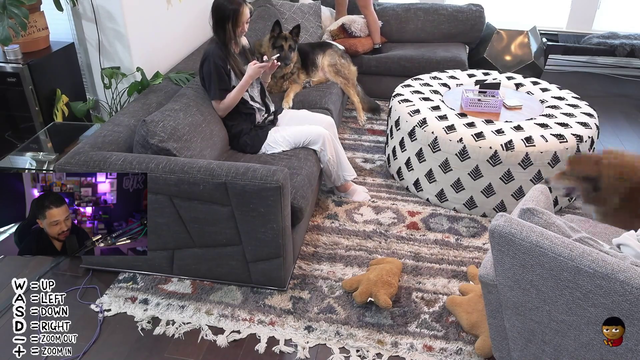 Chat knows what it wants