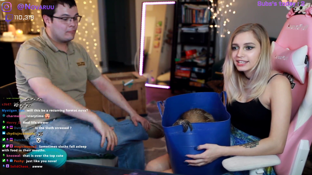 Sloth is taking a nap on stream
