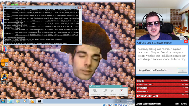 Kitboga's tech support finds a cat in his computer