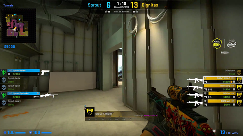 CS pro royaly misses a smoke