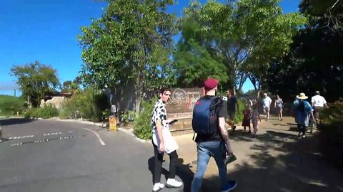 Mizkif and Cyr think of a way to take Jake out.
