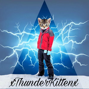 xThunderKittenx
