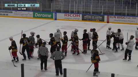 Hockey fight between streamers and pro hockey players