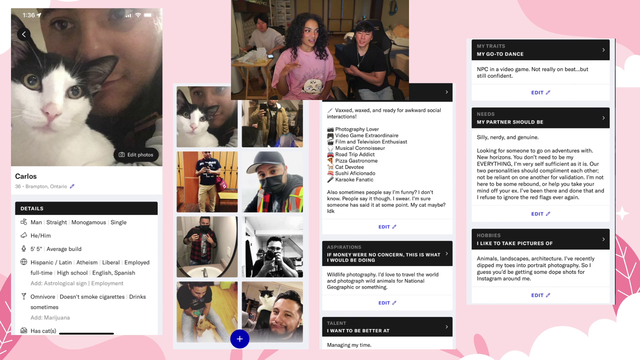Disguised Toast fixes chatter's dating profile