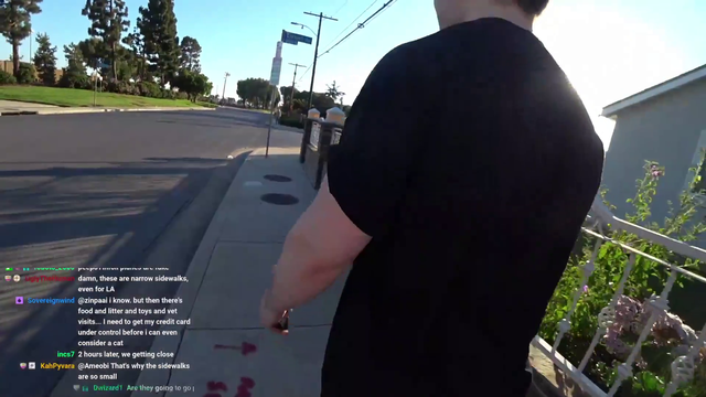 IRL streamer walks into post live
