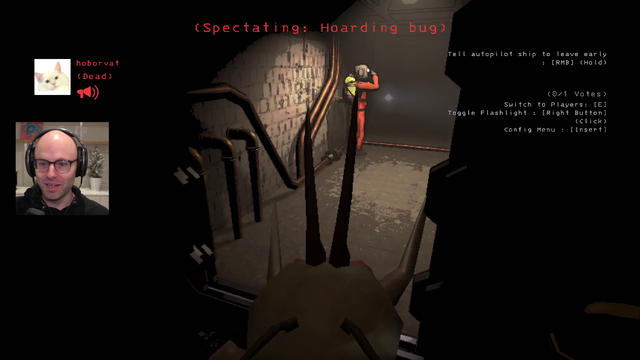 Hoarding bug enjoying the show