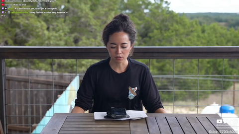 Maya announces 5 new reptile ambassadors coming to Alveus