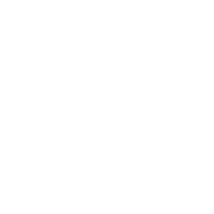 RobotConflict